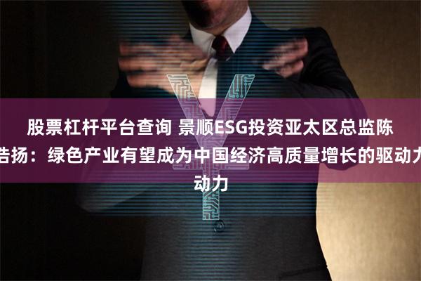 股票杠杆平台查询 景顺ESG投资亚太区总监陈浩扬：绿色产业有望成为中国经济高质量增长的驱动力