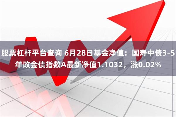 股票杠杆平台查询 6月28日基金净值：国寿中债3-5年政金债指数A最新净值1.1032，涨0.02%