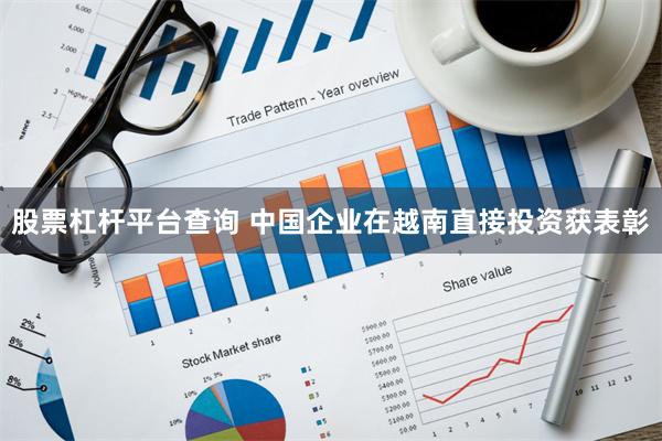 股票杠杆平台查询 中国企业在越南直接投资获表彰